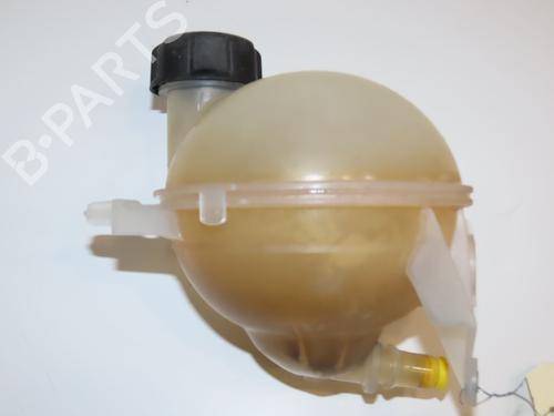 expansion-tank-peugeot-rcz-2010-2011-2012-2013-2014-2015-24361020 main image
