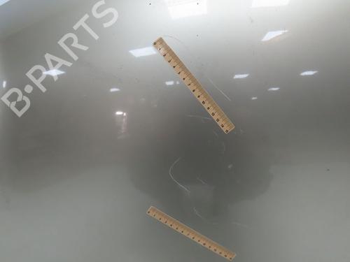 Hood NISSAN MICRA III (K12) 1.5 dCi | BP28831006C1