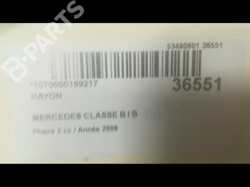 Tailgate MERCEDES-BENZ B-CLASS Sports Tourer (W245) B 180 CDI (245.207) | BP9601900C6 