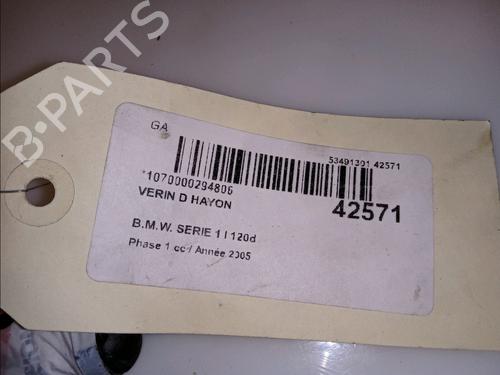 Tailgate lift support BMW 1 (E87) 120 d | BP14880057C138 