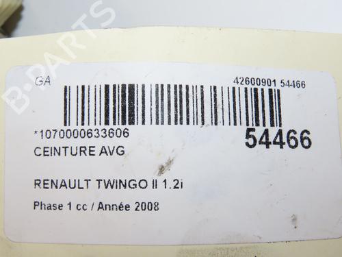 Front left belt tensioner RENAULT TWINGO II (CN0_) 1.2 (CN0D) | BP29441748C87 
