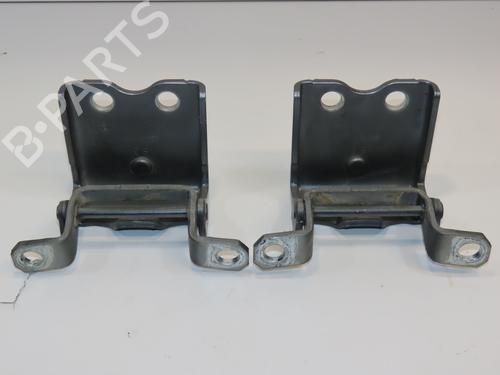 Hinge/Door check strap RENAULT KOLEOS I (HY_) 2.0 dCi 4x4 (HY0K) | BP28832207C146 