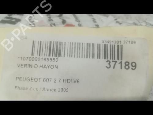 Gasdæmper bagklap PEUGEOT 607 (9D, 9U) 2.7 HDi 24V (204 hp) 14879726