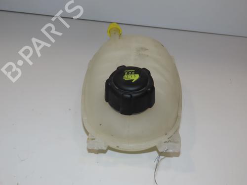 Ekspansjonstank RENAULT CLIO V (B7_) 1.0 SCe 65 (B7MG) (67 hp) 29379881