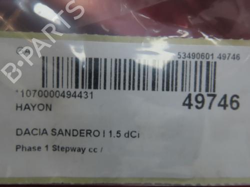 Tailgate DACIA SANDERO 1.5 dCi | BP22920169C6 