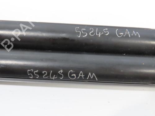 tailgate-lift-support-citroen-c3-picasso-sh_-2008-28832321 main image