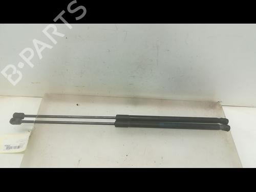 Used Tailgate lift support OPEL CORSA D (S07) 1.3 CDTI (L08, L68) (75 hp) 14879585