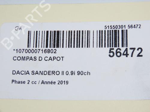 hingedoor-check-strap-dacia-sandero-ii-2012-32716218 main image