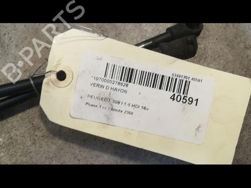 Tailgate lift support PEUGEOT 308 I (4A_, 4C_) 1.6 HDi | BP14879958C138 