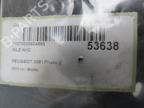 Left front fenders PEUGEOT 308 I (4A_, 4C_) 2.0 HDi | BP28830984C41 