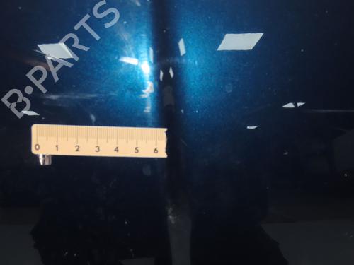 Hood FIAT 500 (312_) 1.2 (312AXA1A) | BP28968383C1 