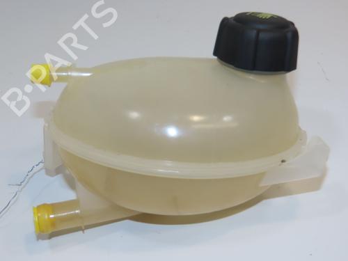 Used Expansion tank RENAULT CLIO IV Grandtour (KH_) 1.2 TCe 120 (KHAU) (118 hp) 21836406