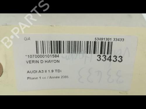 Used Tailgate lift support AUDI A3 Sportback (8PA) 1.9 TDI (105 hp) 14879580