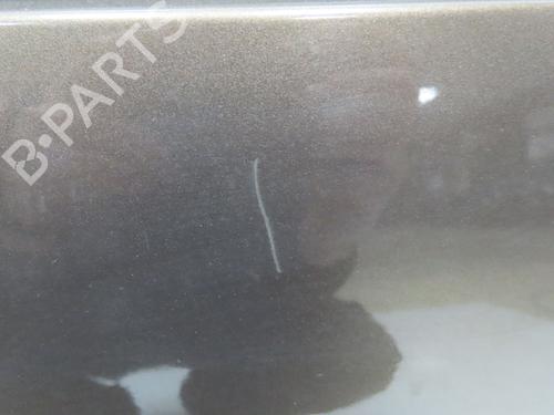 Tailgate RENAULT SCÉNIC III (JZ0/1_) 1.4 16V (JZ0F, JZ1V) | BP28832155C6 