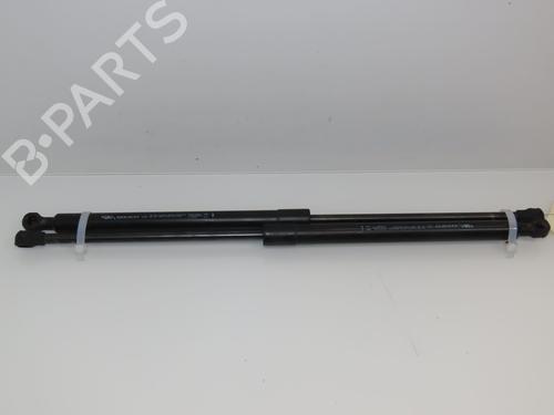 Used Tailgate lift support RENAULT MEGANE IV Hatchback (B9A/M/N_) 1.5 Blue dCi 115 (B9A6) (116 hp) 17552052