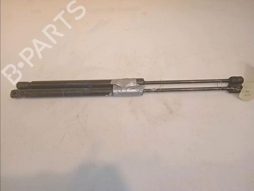 Used Tailgate lift support RENAULT CLIO III Grandtour (KR0/1_) 1.5 dCi (75 hp) 14879961