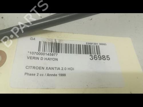 Used Tailgate lift support CITROËN XANTIA (X1_, X2_) 2.0 HDI 90 (90 hp) 23177358