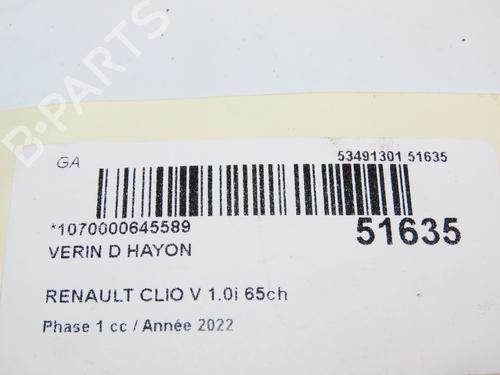 Tailgate lift support RENAULT CLIO V (B7_) 1.0 SCe 65 (B7MG) | BP29441813C138 