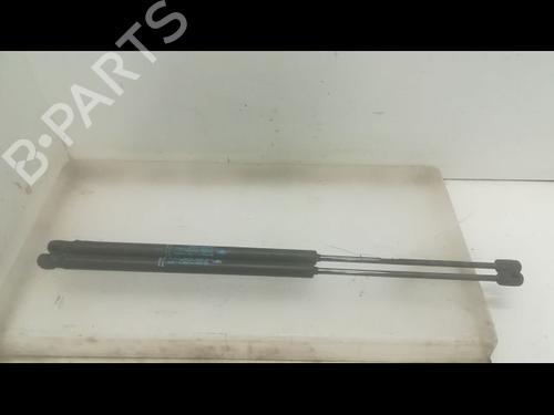 Used Tailgate lift support PEUGEOT 1007 (KM_) 1.4 HDi (68 hp) 14879681