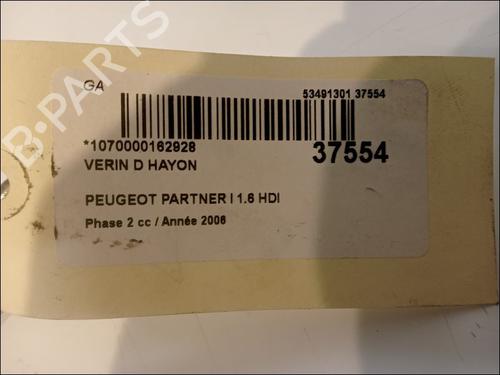 tailgate-lift-support-peugeot-partner-mpv-5_-g_-1996-23177364 main image