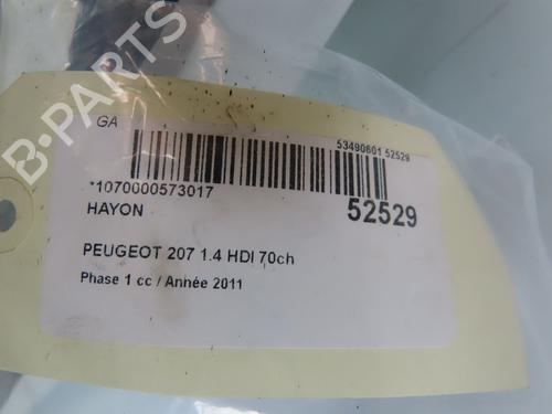 Tailgate PEUGEOT 207 (WA_, WC_) 1.4 HDi | BP24359102C6 