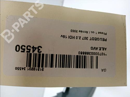 Left front fenders PEUGEOT 307 (3A/C) 2.0 HDi 135 | BP11101902C41 