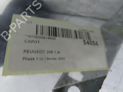 Used Hood PEUGEOT 206 Hatchback (2A/C) 1.4 i (75 hp) 28831044