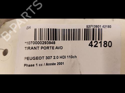 Hinge/Door check strap PEUGEOT 307 (3A/C) 2.0 HDi 110 | BP14879146C146 