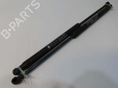 Used Tailgate lift support Tailgate lift support FIAT GRANDE PUNTO (199_) 1.2 (65 hp) 36495527 36495527