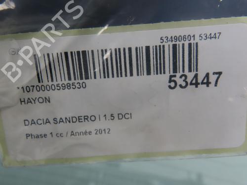 Used Tailgate DACIA SANDERO 1.5 dCi (75 hp) 29551210
