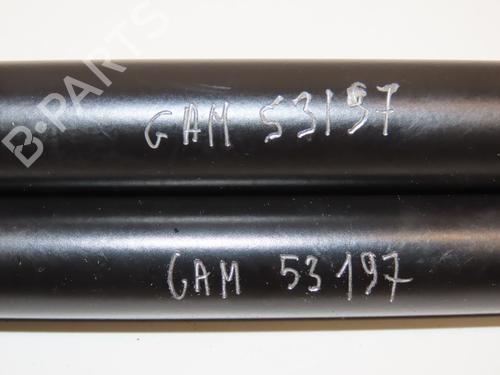 Tailgate lift support PEUGEOT 207 CC (WD_) 1.6 HDi | BP28969334C138 