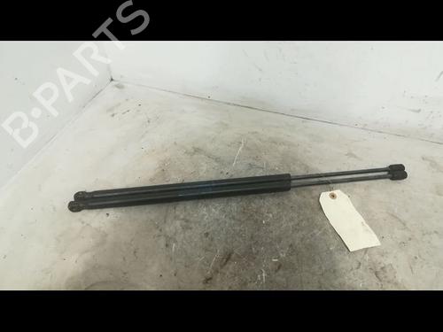 Used Tailgate lift support FORD FIESTA V (JH_, JD_) 1.4 TDCi (68 hp) 14879826