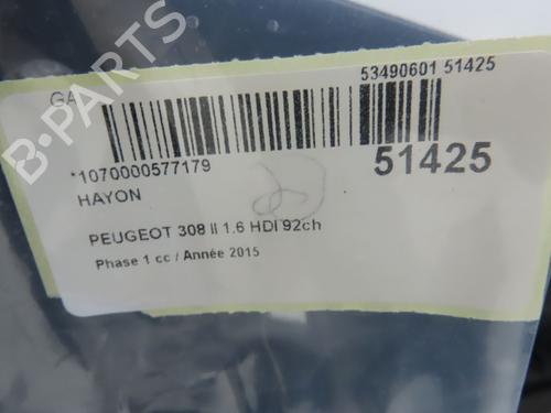 Tailgate PEUGEOT 308 II (LB_, LP_, LW_, LH_, L3_) 1.6 HDi | BP28969191C6