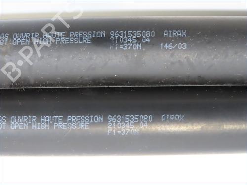 Tailgate lift support CITROËN XSARA PICASSO (N68) 1.6 HDi | BP28832302C138 