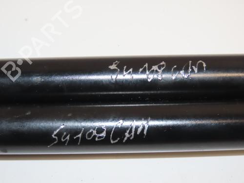 Tailgate lift support RENAULT MEGANE Scenic (JA0/1_) 1.6 e (JA0F) | BP28832305C138