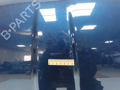 Hood FIAT 500 (312_) 1.2 (312AXA1A) | BP28968383C1 