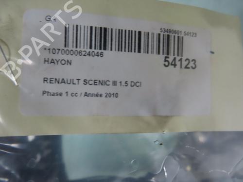 Used Tailgate RENAULT SCÉNIC III (JZ0/1_) 1.5 dCi (106 hp) 28832193