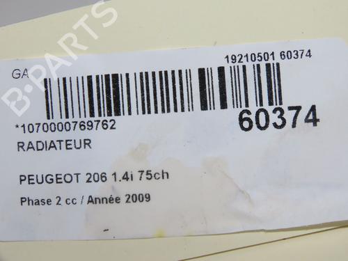 Used Water radiator Water radiator PEUGEOT 206 Hatchback (2A/C) 1.4 i (75 hp) 39217290 39217290