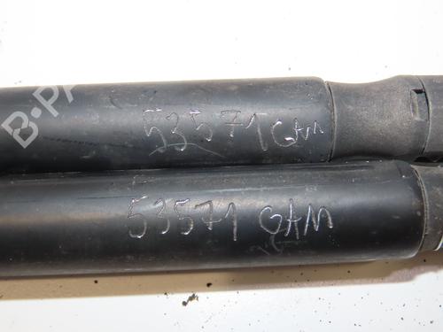 Used Tailgate lift support FIAT FIORINO MPV (225_) 1.3 JTD Multijet (95 hp) 29441815