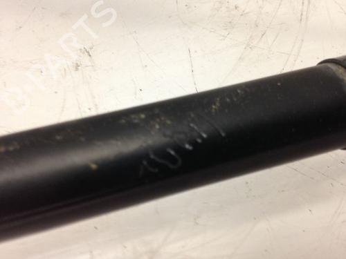 Tailgate lift support AUDI A3 (8P1) 1.9 TDI | BP14879555C138 