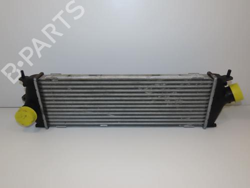 Andre RENAULT TRAFIC II Van (FL) 2.0 dCi 90 (FL0H, FL00, FL01, FL0M, FL0P, FL0S) (90 hp) 29128744