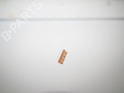 Right tailgate FIAT DUCATO Van (250_) 115 Multijet 2,0 D | BP28969339C77 