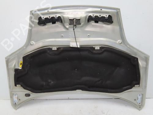 Panser RENAULT SCÉNIC I MPV (JA0/1_, FA0_) 1.9 dCi (JA05, JA1F) (102 hp) 28831018
