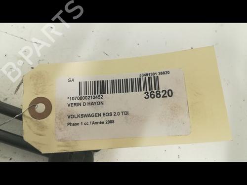Used Tailgate lift support VW EOS (1F7, 1F8) 2.0 TDI (140 hp) 23177356