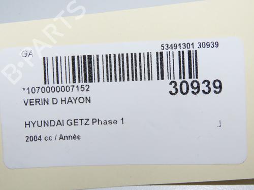 Used Tailgate lift support Tailgate lift support HYUNDAI GETZ (TB) 1.5 CRDi (82 hp) 14879547 14879547