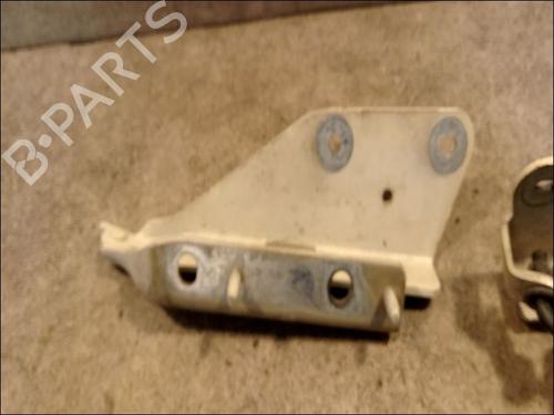 Hinge/Door check strap CITROËN C3 Pluriel (HB_) 1.4 HDi | BP14878958C146 