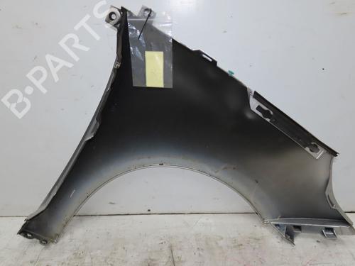 Left front fenders RENAULT SCÉNIC III (JZ0/1_) 1.5 dCi | BP28801868C41 
