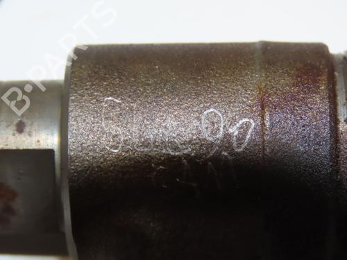 Used Injector Injector FORD FIESTA VI (CB1, CCN) 1.4 TDCi (70 hp) 29263755 29263755