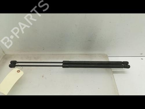 Hood lift support MINI MINI (R50, R53) Cooper | BP23175448C139 