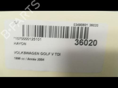 Used Tailgate VW GOLF V (1K1) 1.9 TDI (90 hp) 9598738